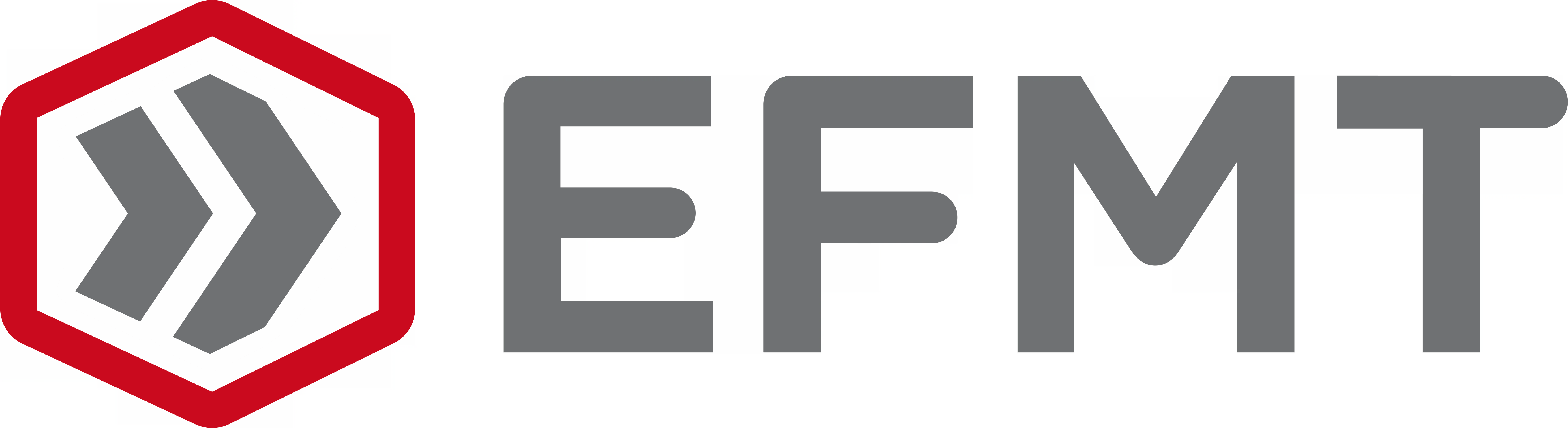 logo entier d'EFMT avec le nom de l'école